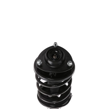 Suspension Strut and Coil Spring Assembly