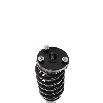 Suspension Strut and Coil Spring Assembly