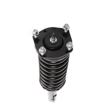 Suspension Strut and Coil Spring Assembly