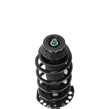 Suspension Strut and Coil Spring Assembly