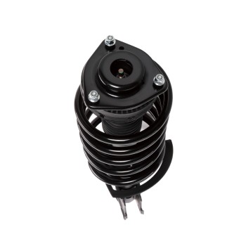 Suspension Strut and Coil Spring Assembly