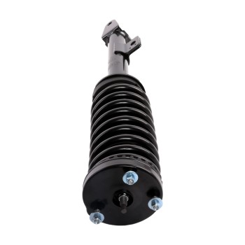 Suspension Strut and Coil Spring Assembly