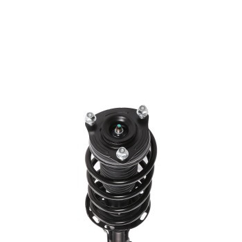 Suspension Strut and Coil Spring Assembly