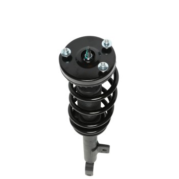 Suspension Strut and Coil Spring Assembly