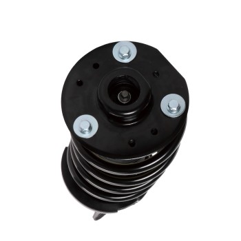 Suspension Strut and Coil Spring Assembly
