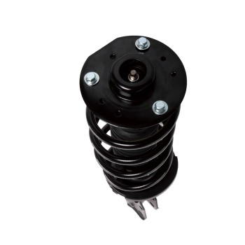 Suspension Strut and Coil Spring Assembly