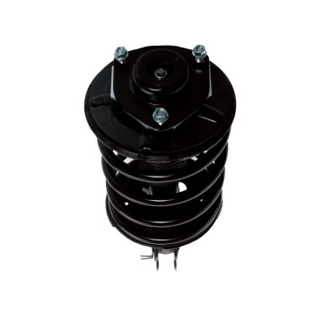 Suspension Strut and Coil Spring Assembly