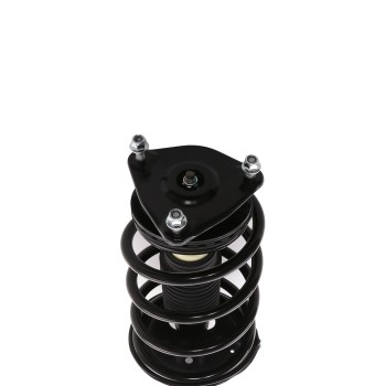 Suspension Strut and Coil Spring Assembly