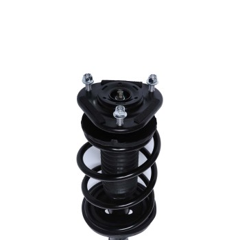 Suspension Strut and Coil Spring Assembly