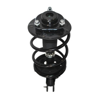 Suspension Strut and Coil Spring Assembly