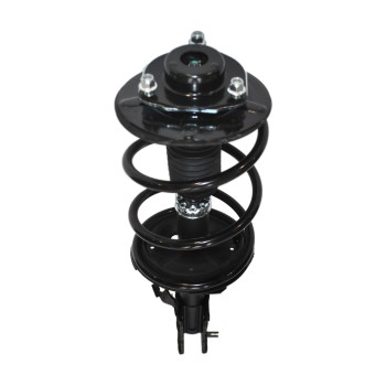 Suspension Strut and Coil Spring Assembly