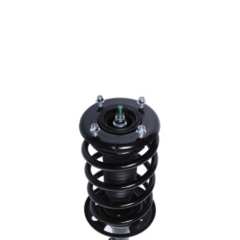Suspension Strut and Coil Spring Assembly