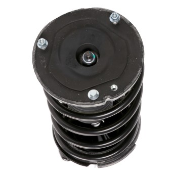 Suspension Strut and Coil Spring Assembly