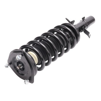 Suspension Strut and Coil Spring Assembly