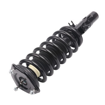 Suspension Strut and Coil Spring Assembly
