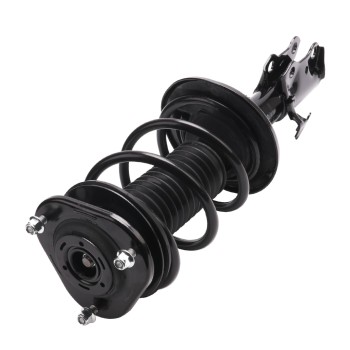 Suspension Strut and Coil Spring Assembly