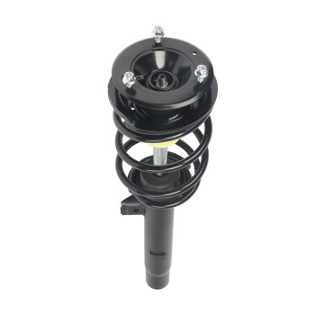 Suspension Strut and Coil Spring Assembly