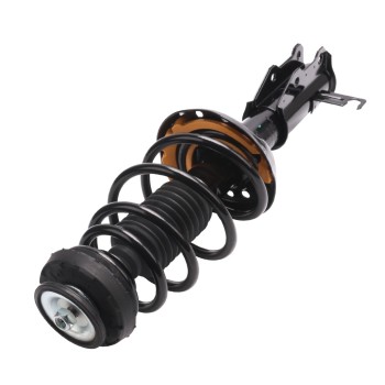 Suspension Strut and Coil Spring Assembly