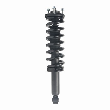 Suspension Strut and Coil Spring Assembly