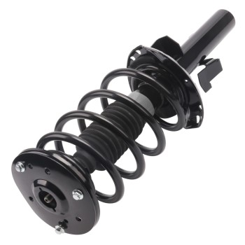 Suspension Strut and Coil Spring Assembly