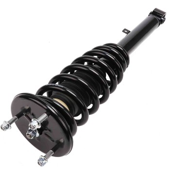Suspension Strut and Coil Spring Assembly