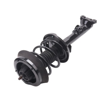 Suspension Strut and Coil Spring Assembly