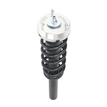 Suspension Strut and Coil Spring Assembly