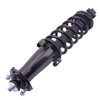 Suspension Strut and Coil Spring Assembly