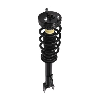 Suspension Strut and Coil Spring Assembly
