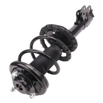 Suspension Strut and Coil Spring Assembly