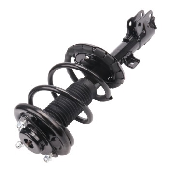 Suspension Strut and Coil Spring Assembly