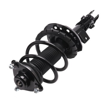 Suspension Strut and Coil Spring Assembly