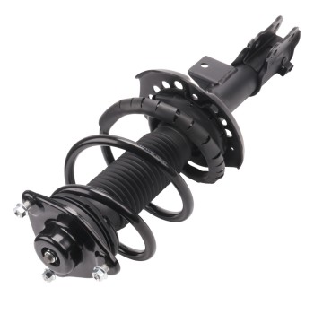 Suspension Strut and Coil Spring Assembly