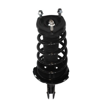 Suspension Strut and Coil Spring Assembly