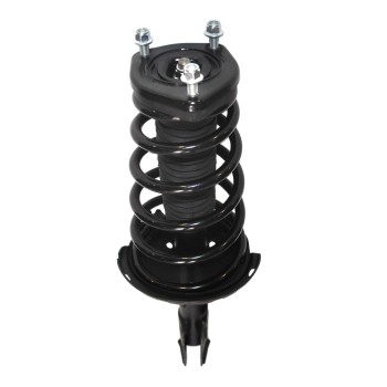 Suspension Strut and Coil Spring Assembly