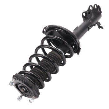 Suspension Strut and Coil Spring Assembly
