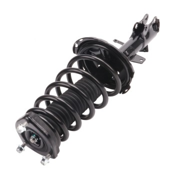 Suspension Strut and Coil Spring Assembly