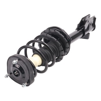 Suspension Strut and Coil Spring Assembly