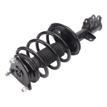 Suspension Strut and Coil Spring Assembly