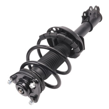 Suspension Strut and Coil Spring Assembly