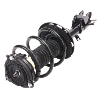 Suspension Strut and Coil Spring Assembly