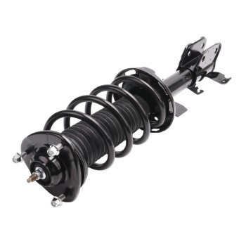 Suspension Strut and Coil Spring Assembly