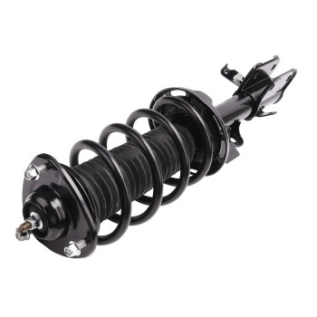 Suspension Strut and Coil Spring Assembly