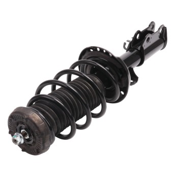 Suspension Strut and Coil Spring Assembly