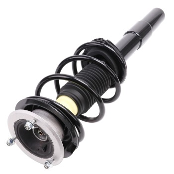 Suspension Strut and Coil Spring Assembly