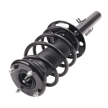 Suspension Strut and Coil Spring Assembly