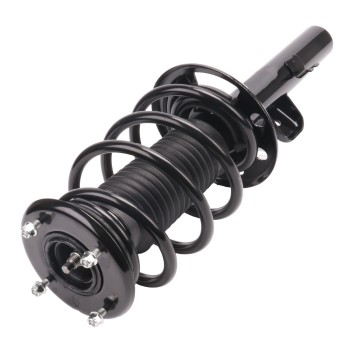 Suspension Strut and Coil Spring Assembly