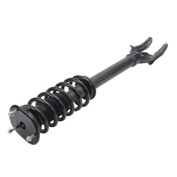 Suspension Strut and Coil Spring Assembly