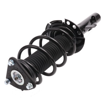 Suspension Strut and Coil Spring Assembly