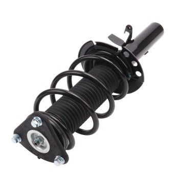 Suspension Strut and Coil Spring Assembly